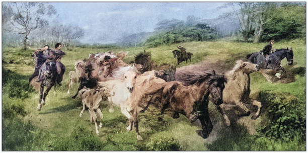 Student landscape painting